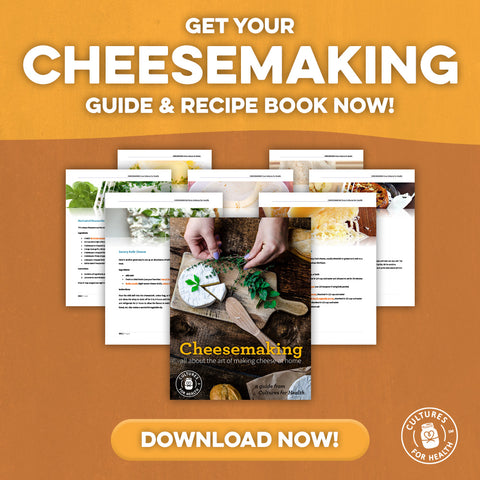 download Cheesemaking guide and recipe book