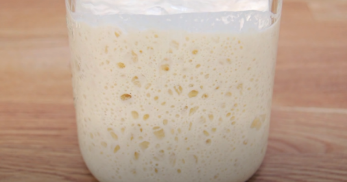 sourdough starter recipe