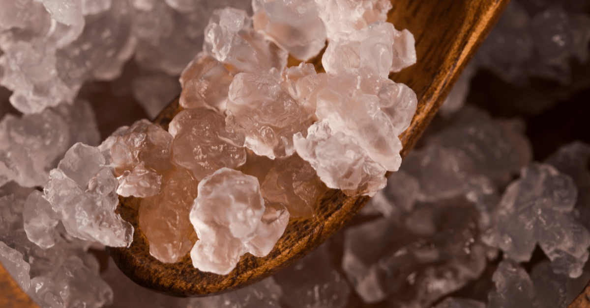 wooden spoon full of water kefir grains