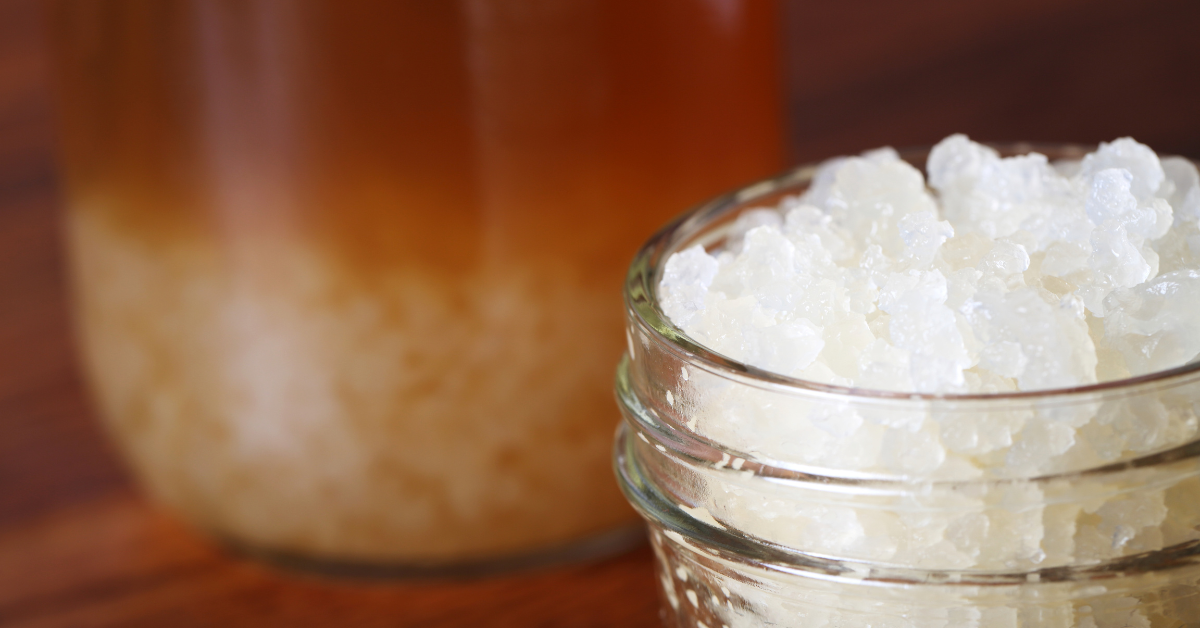 How to Make Activate Water Kefir Grains with a Kefirko! If you're using  water kefir grains that have been sent to you by mail (fresh or hydrated),  or, By Kefirko UK