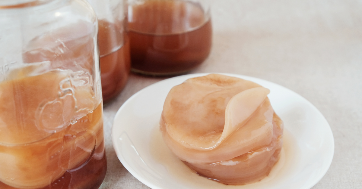 scoby kombucha