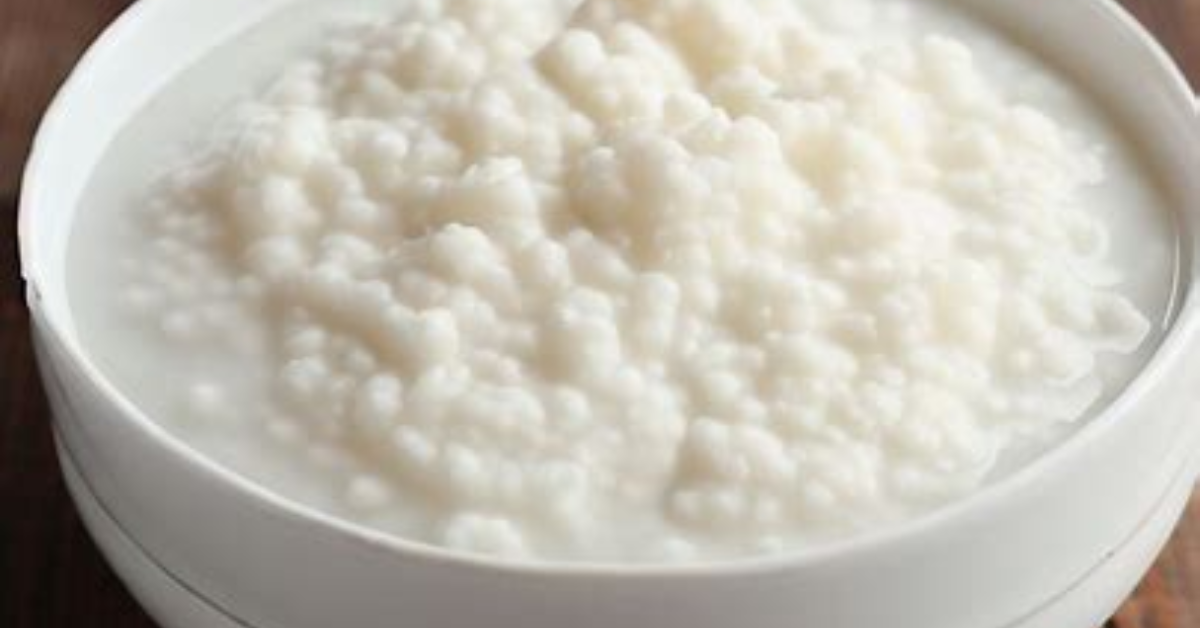 MILK KEFIR WITHOUT KEFIR GRAINS