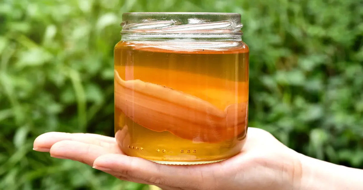 dilute kombucha with water