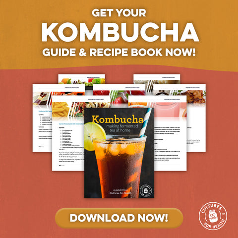 download our Kombucha guide and recipe book today