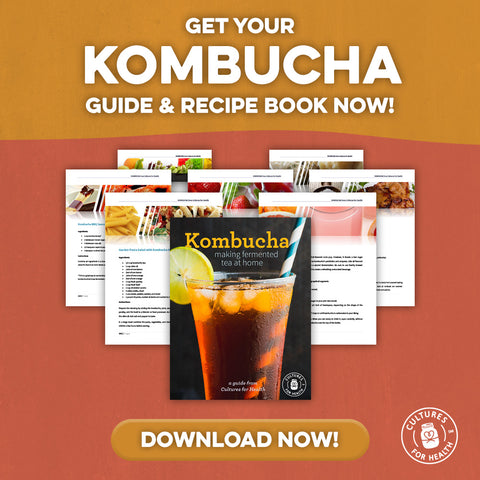 download our kombucha guide and recipe book