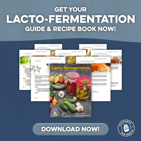 download our lacto-fermentation guide and recipe book today
