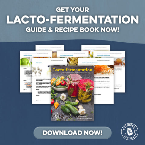 download our lacto - fermentation guide and recipe book