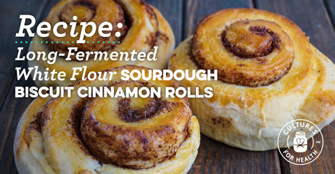 Long-Fermented White Flour Sourdough Biscuit Cinnamon Rolls