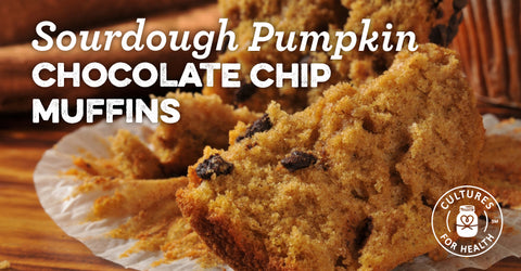 Sourdough Pumpkin Chocolate Chip Muffins