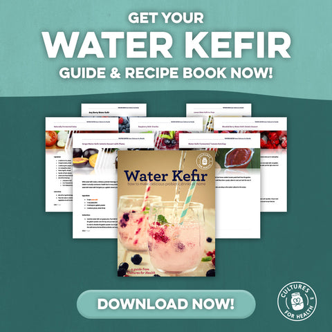 download water kefir guide and book today