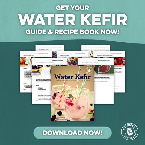 download our water kefir guide and recipe today