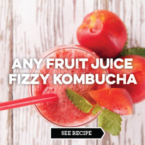 Fruit Juice Fizzy - Kombucha Flavoring