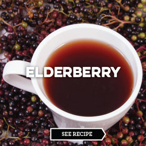 Elderberry- Kombucha Flavoring