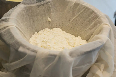 Cultured Milk in a Butter Muslin in a colander 