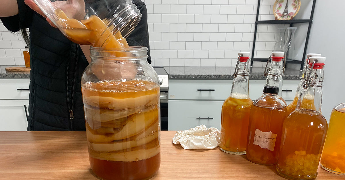 making a scoby hotel