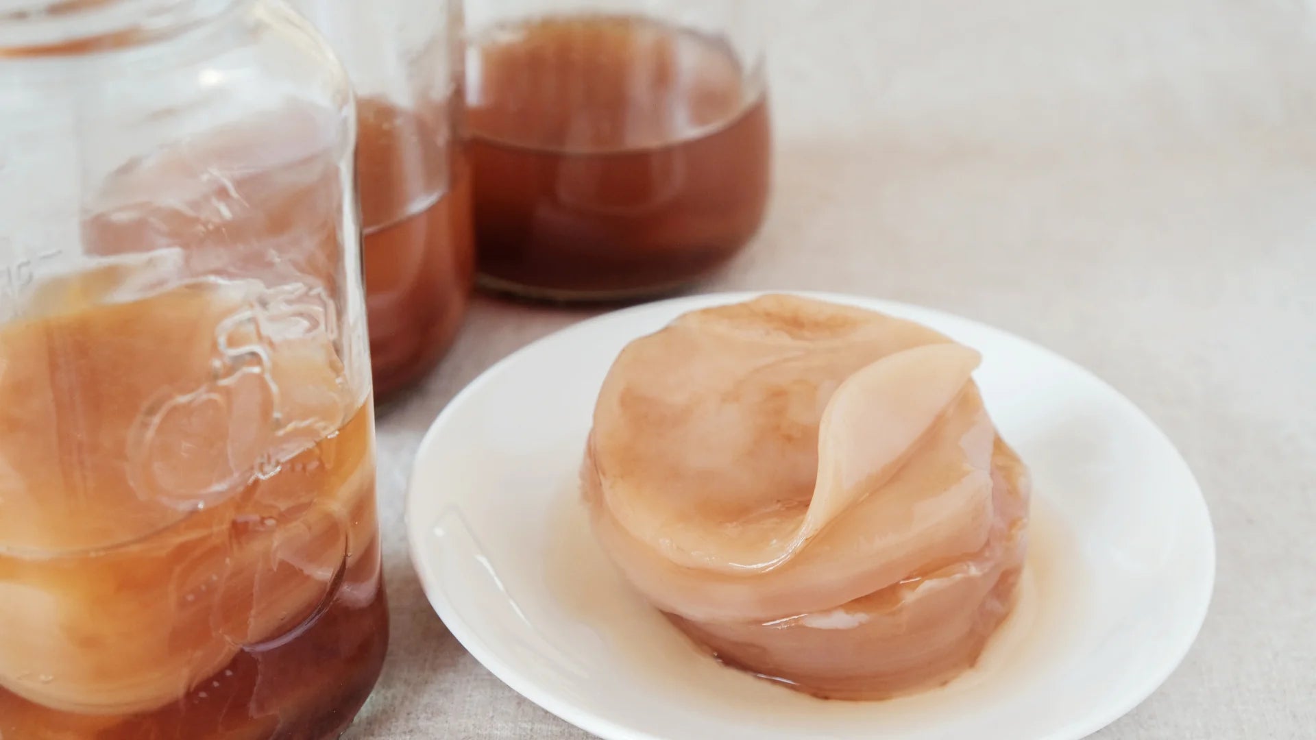 Kombucha Recipe  Learn How to Make Homemade Kombucha from a SCOBY -  Cultures For Health