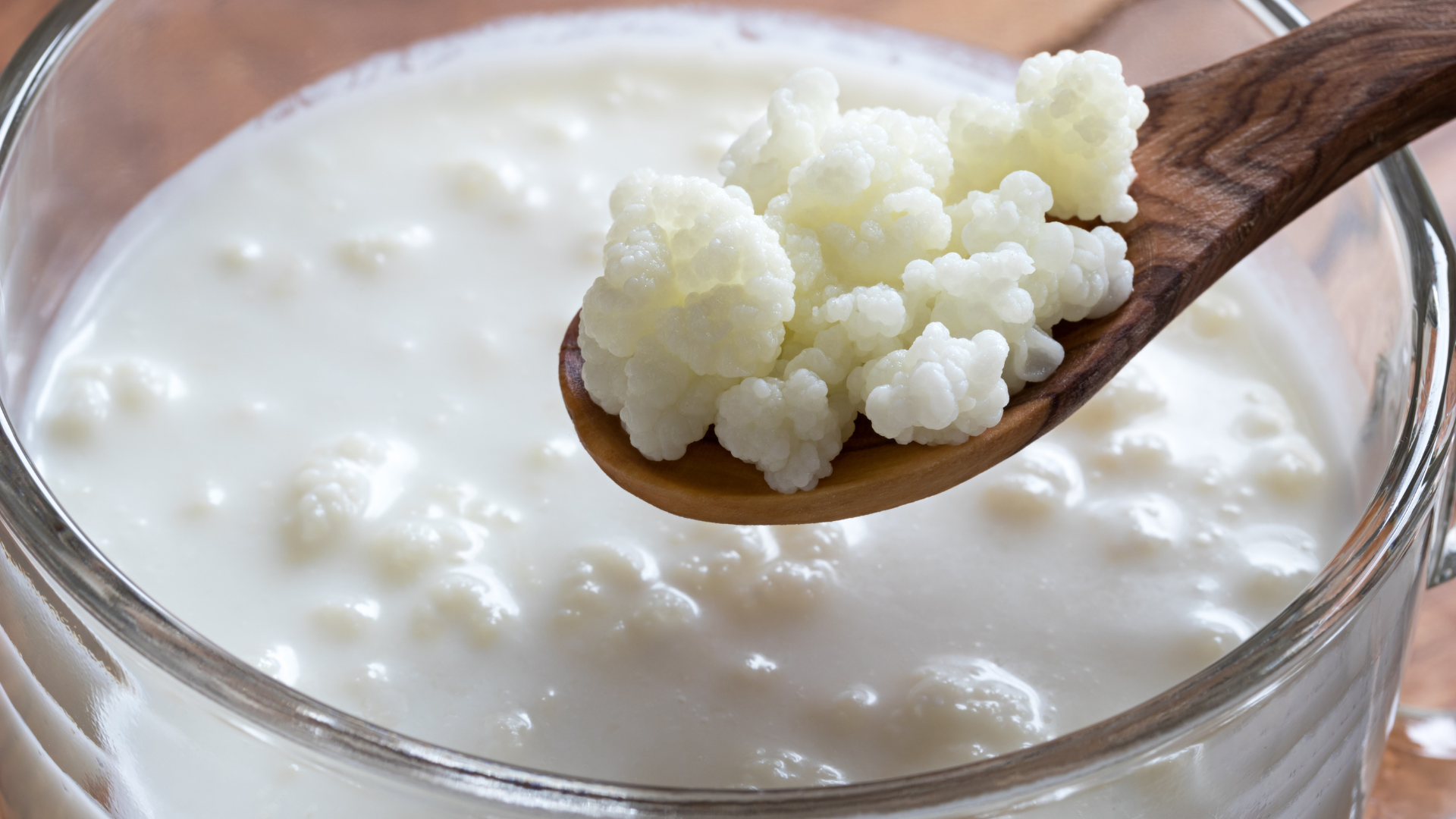 milk kefir with milk kefir grains in a bowl