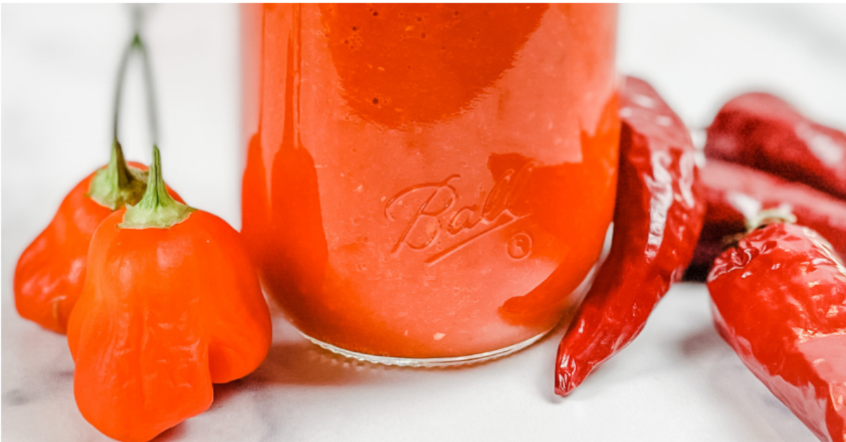 sweet peppers are one of the best vegetables to ferment