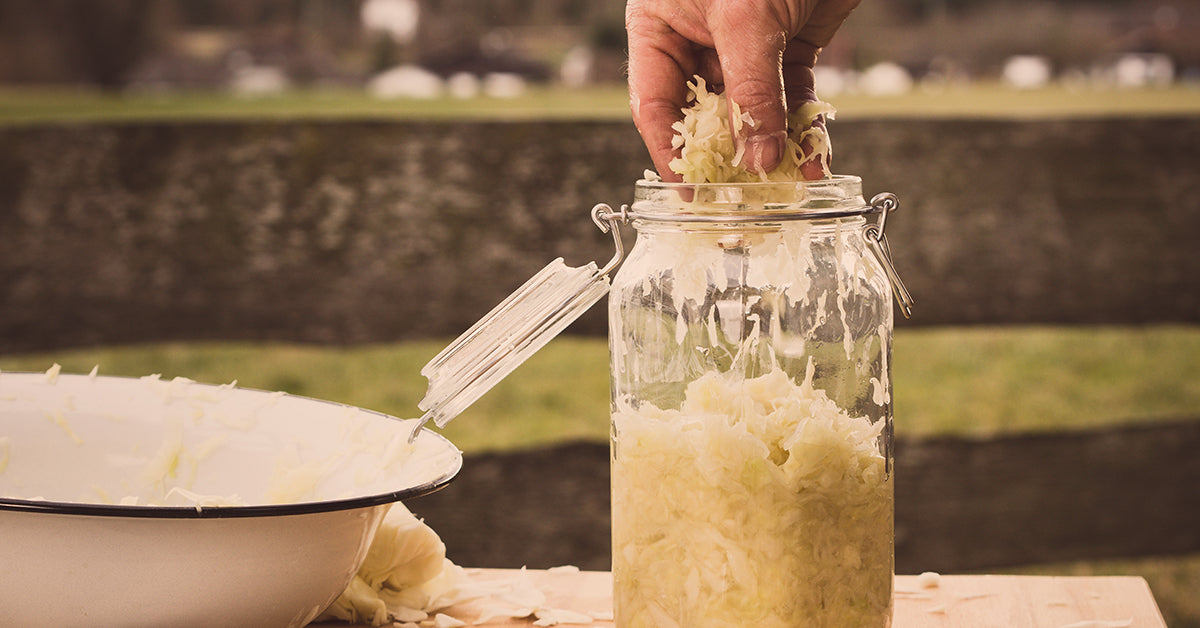 diy sauerkraut with at home fermentation