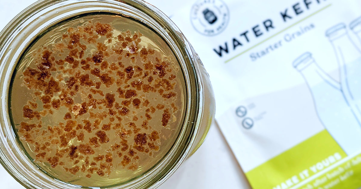 cultures for health water kefir starter grains