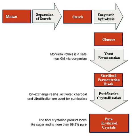 how erythritol is made