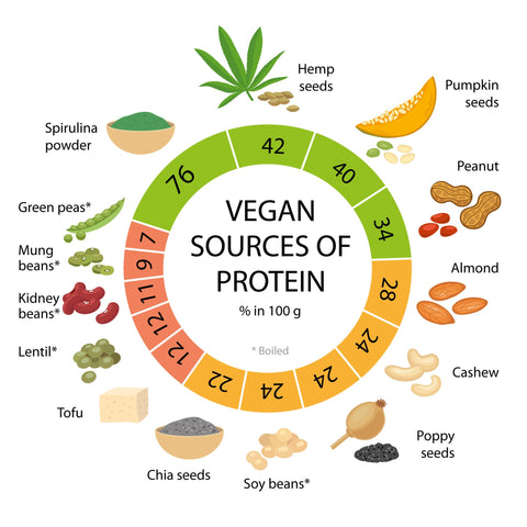 vegan protein guide