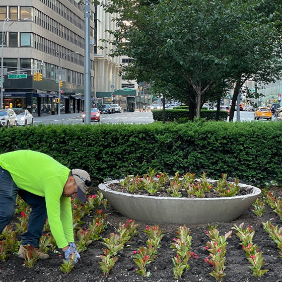 Spring 2022 Park Avenue