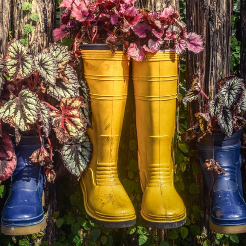 Rainboots filled with plants