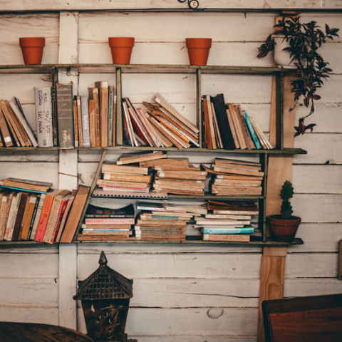 A shelf filled with old books and potted plants