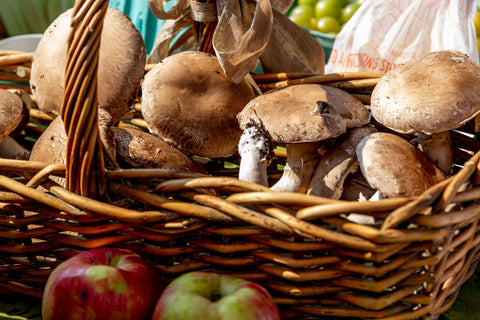 A basket of wild mushrooms foraged from the wild.