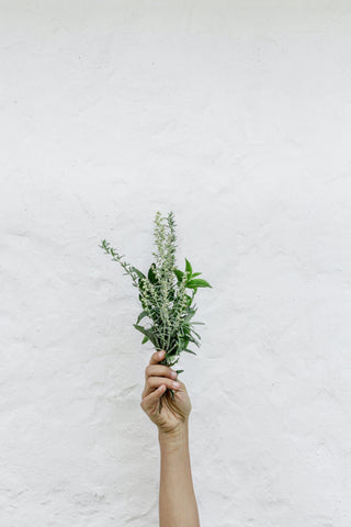 Bushel of herbs foraged from the great outdoors.