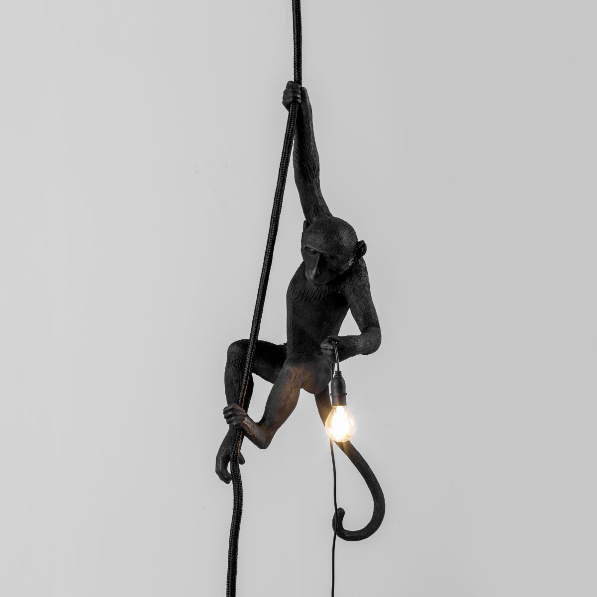 monkey rope lamp