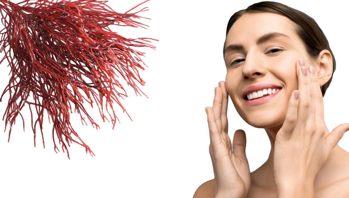 Benefits Red Algae to skin beauty and skincare – Skincare