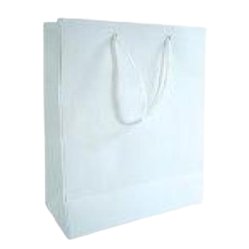 GIFT BAG SOLID COLOR LARGE WHITE