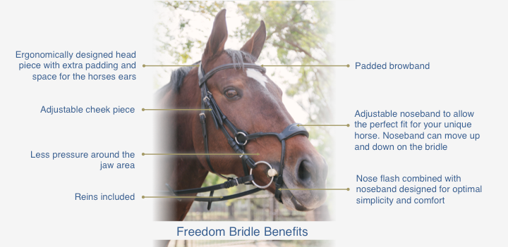 buy Freedom Bridle South Africa