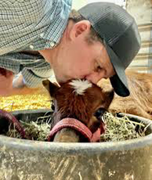 cowboy with tiny cow