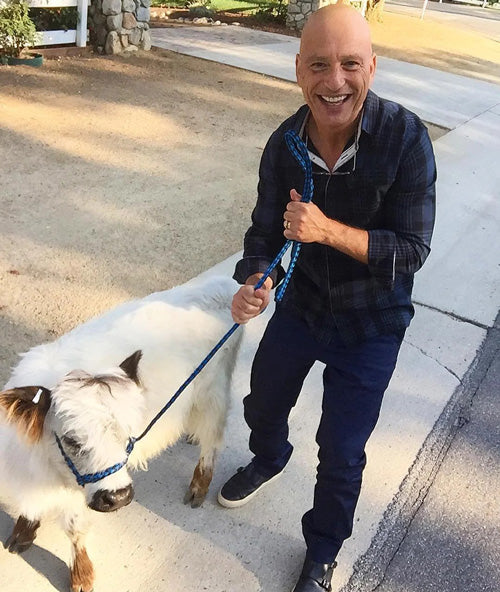 Howie smiles as he walks mini cow