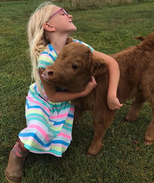 micro cow and little girl hug