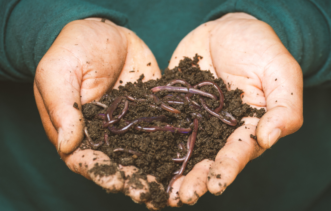 mouchoirs en paper compost