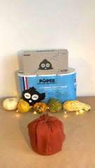 DIY facile halloween rouleau de papier toilette citrouille