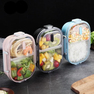 compartment lunch boxes for adults