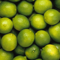 Essential Oil of Lime