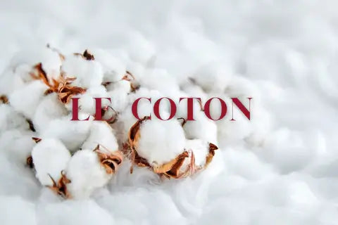coton - friperie bordeaux 