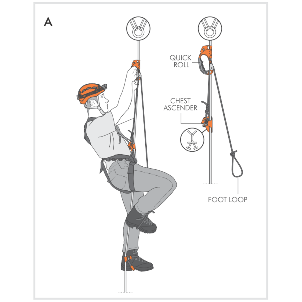 Quick'Up + hand ascender - CLIMBING TECHNOLOGY — The Cave Exploration  Society Inc.