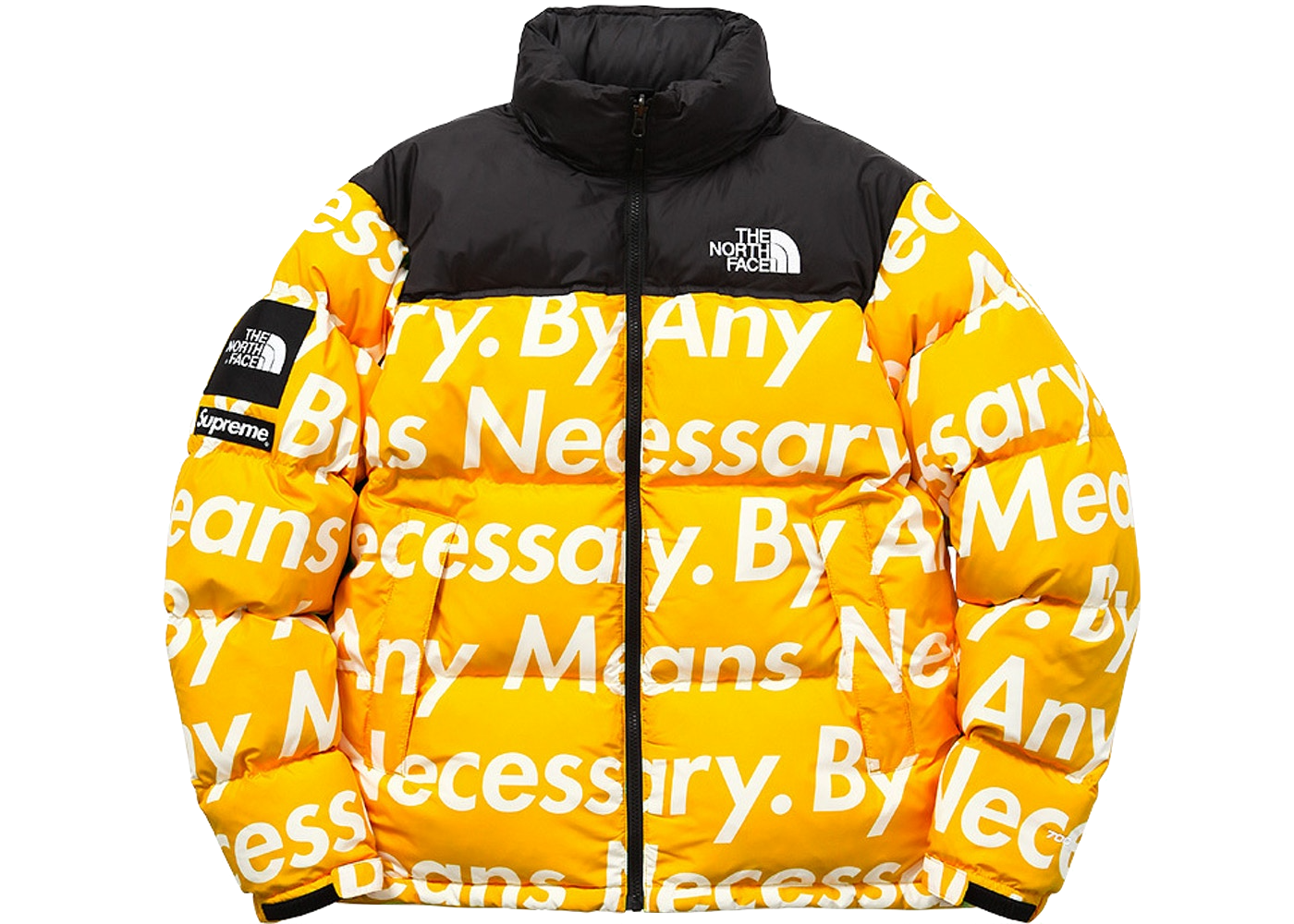 supreme the north face by any means 