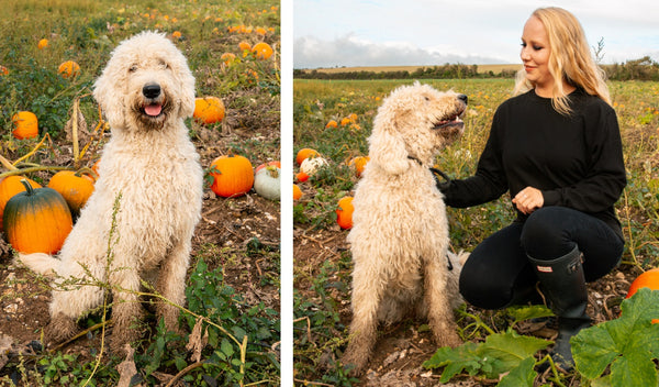 Ellie Ellie Pumpkins