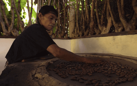 comal roasting cacao isabella