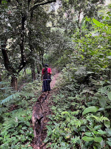 walking to cacao ritual place