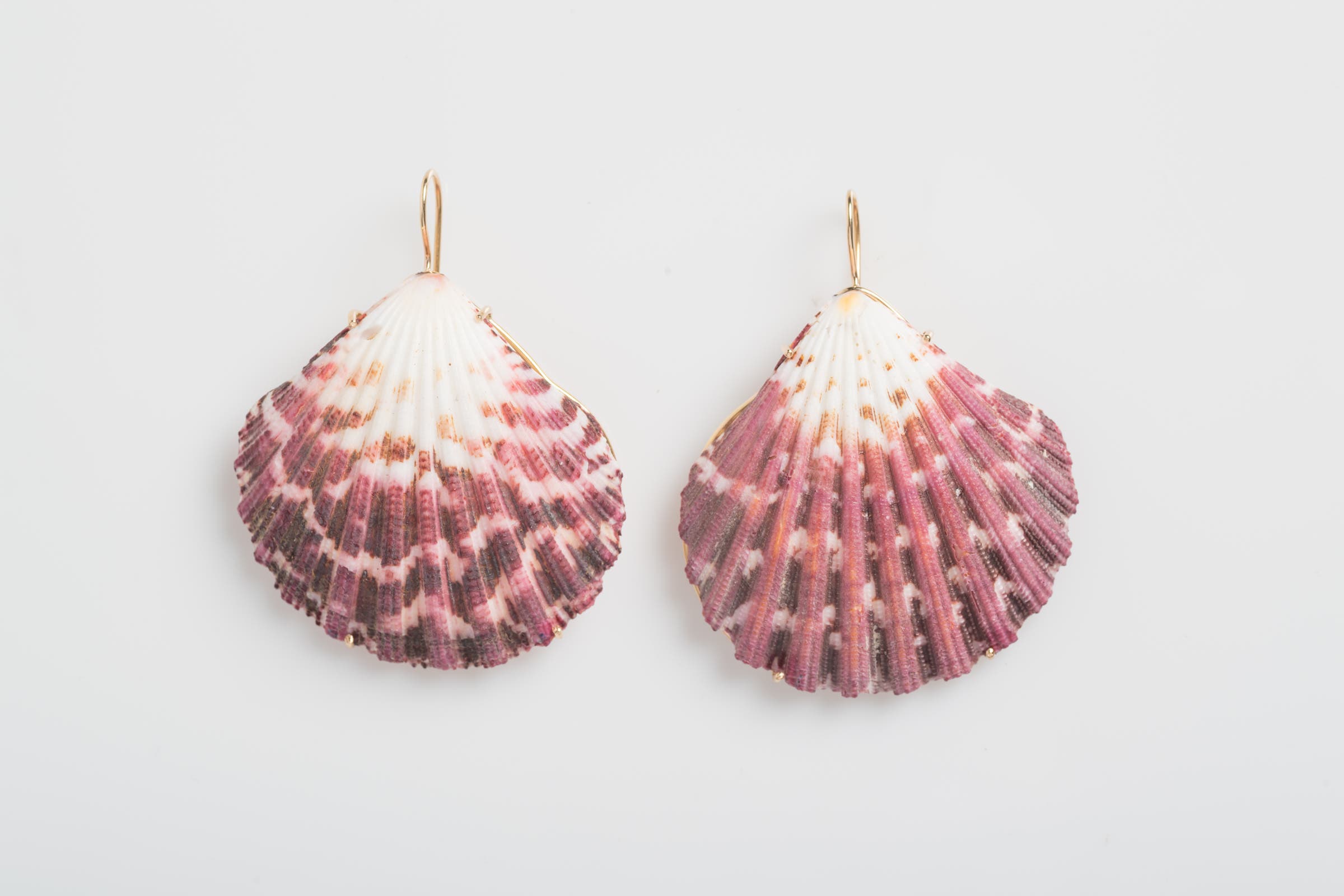 Shell and Rose Gold Earrings