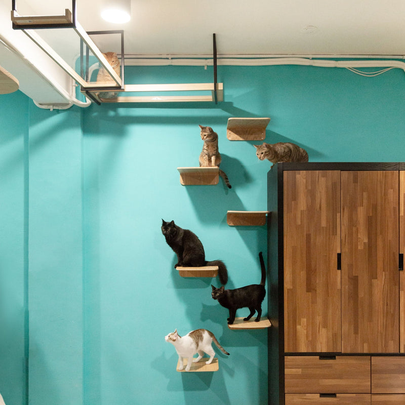 Floating Cat Shelves, Cat Board | Lack (M, 2pcs) | MYZOO